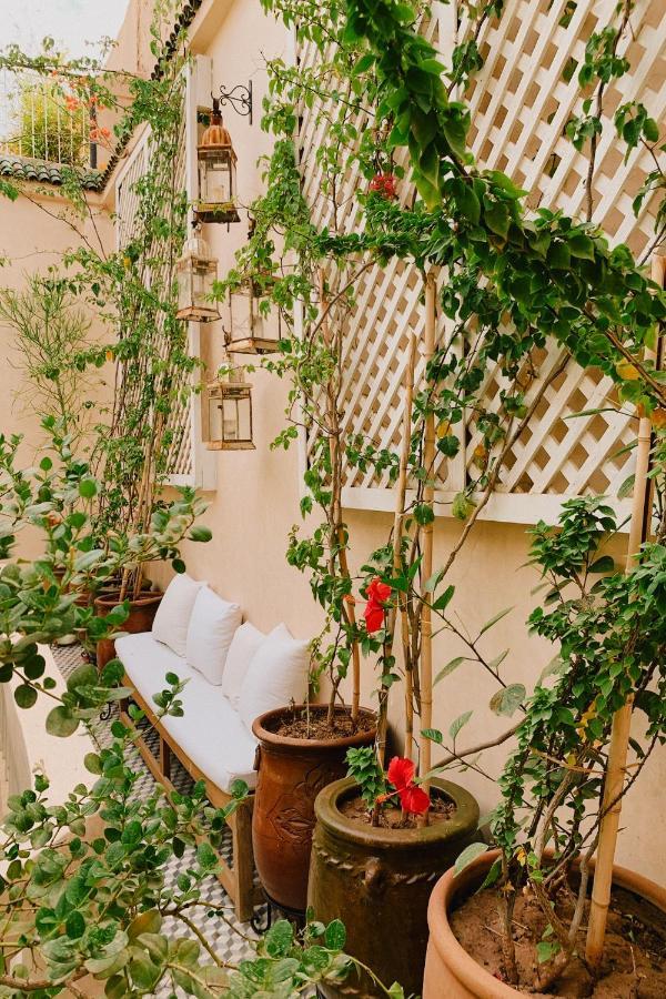 Riad Maison 24 مراكش المظهر الخارجي الصورة