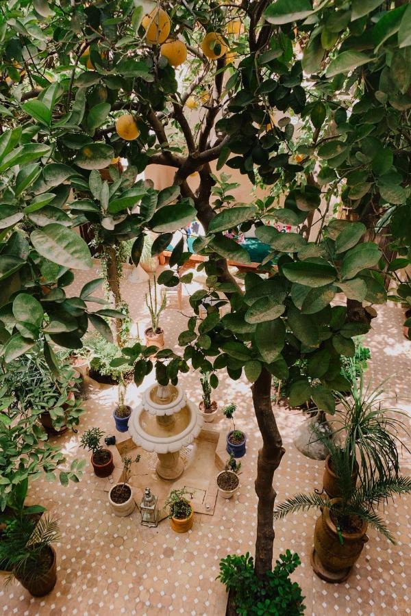 Riad Maison 24 مراكش المظهر الخارجي الصورة